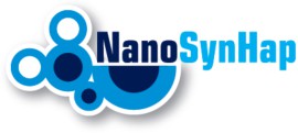 NanoSynHap