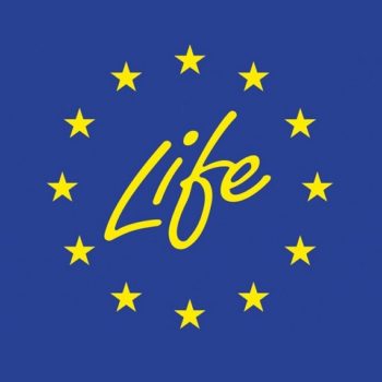 Ponad 280 mln euro z budżetu UE na projekty dotyczące środowiska, przyrody i działań w dziedzinie klimatu w programie LIFE