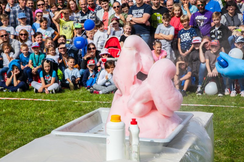 IV Piknik z Wyobraźnią w PPNT Poznań - naukowe atrakcje dla dzieci i dorosłych
